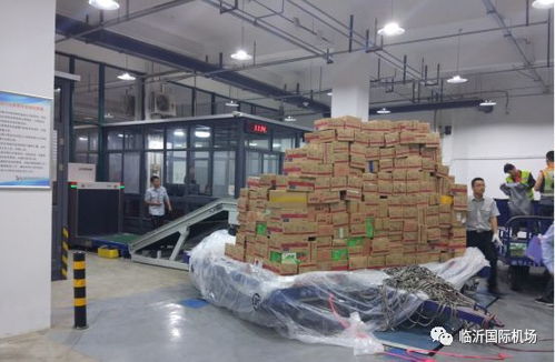 临沂国际机场 打造区域性航空货运枢纽，赋能特色农产品“飞”向全国